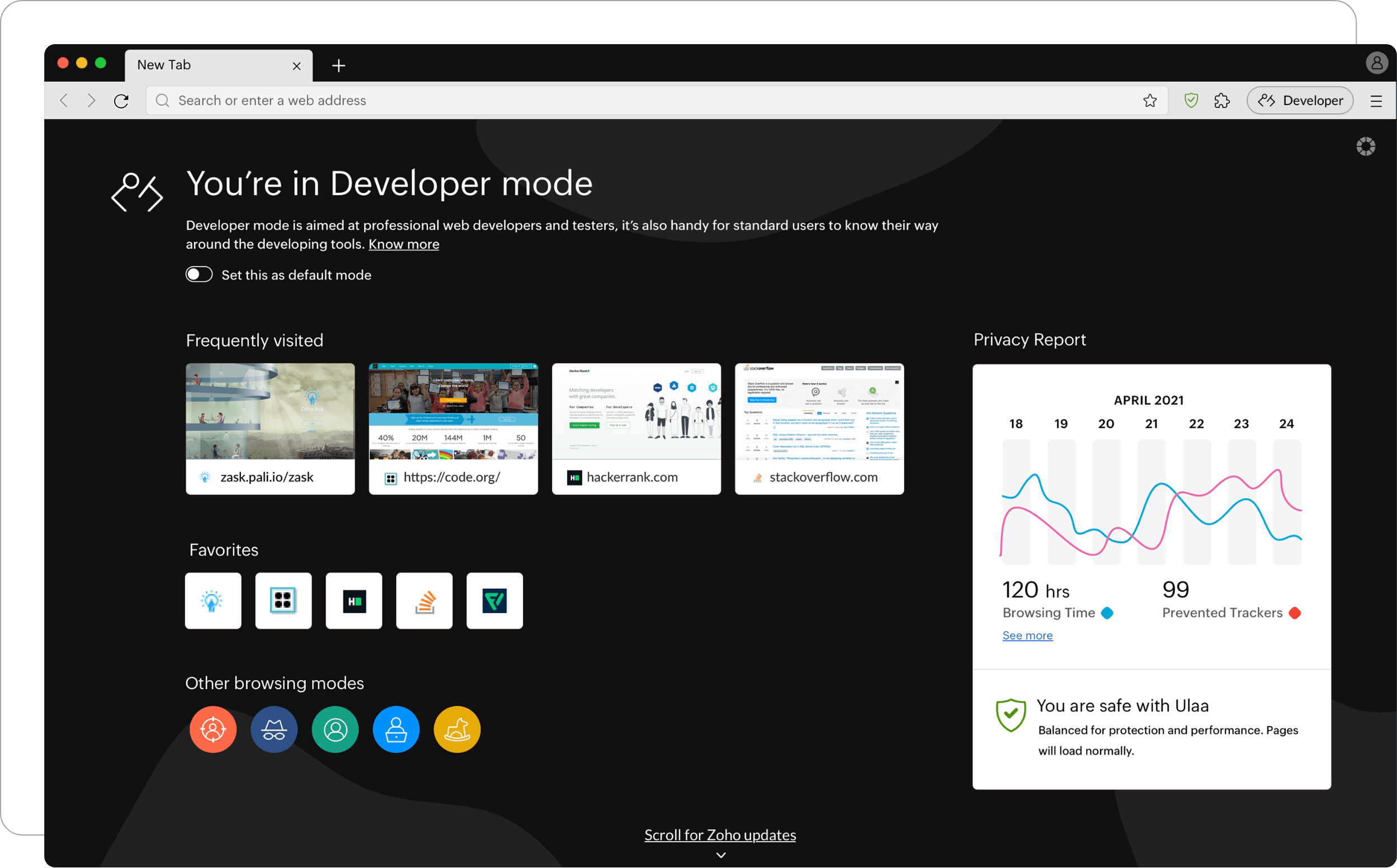 Developer Mode